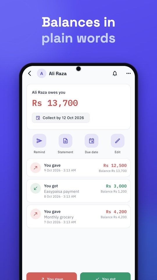 Balances in plain words: Ali Raza owes you Rs 13,700